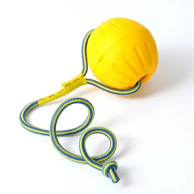 Ball Dog Toy with Rope Handle_1