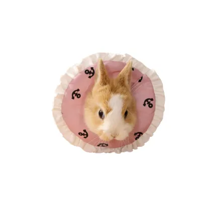 Cute Soft Cone Pet Recovery Collar for Small Pets Cute Soft Cone Pet Recovery Collar for Small Pets