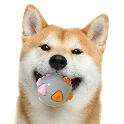 TPR Squeaky Dog Ball Toy TPR Squeaky Dog Ball Toy