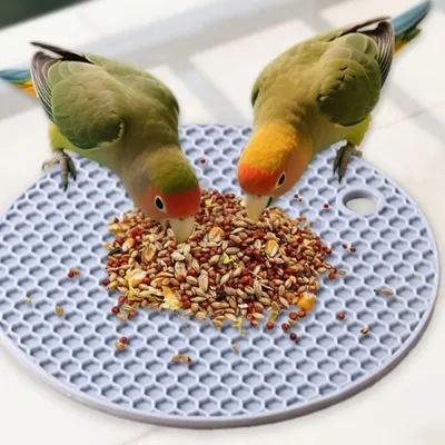 Durable Silicone Bird Slow Feeder Mat_5 Durable Silicone Bird Slow Feeder Mat_5