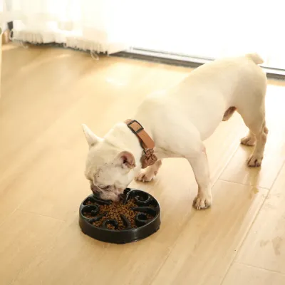 Luxury PP Pet Easy to Clean Dog Slow Feeder Bowl Luxury PP Pet Easy to Clean Dog Slow Feeder Bowl