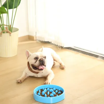 Anti-slip Dog Cat Feed Bowl Pet Slow Food Bowl Anti-slip Dog Cat Feed Bowl Pet Slow Food Bowl