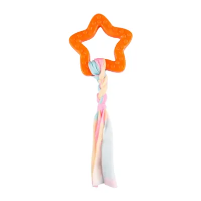 Star Shape TPR Dog Toy Orange