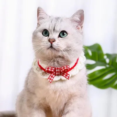 Pet Neck Accessory and Cute Knitted Cat Collar for Cat Pet Neck Accessory and Cute Knitted Cat Collar for Cat