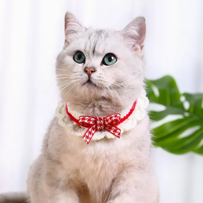 Pet Neck Accessory and Cute Knitted Cat Collar for Cat Pet Neck Accessory and Cute Knitted Cat Collar for Cat