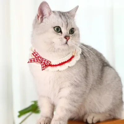 Pet Neck Accessory and Cute Knitted Cat Collar for Cat Pet Neck Accessory and Cute Knitted Cat Collar for Cat
