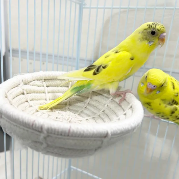Handwoven Cotton-Linen Hanging Parrot Bed for Birds Handwoven Cotton-Linen Hanging Parrot Bed for Birds