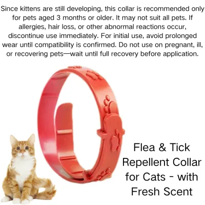 Collar with Fresh Scent_5 Collar with Fresh Scent_5