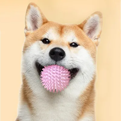 Pet Teeth Cleaning Ball Pet Teeth Cleaning Ball