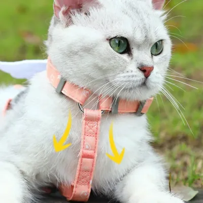 Nlyon Angel Wing Harness and Leash Set for Cat Nlyon Angel Wing Harness and Leash Set for Cat