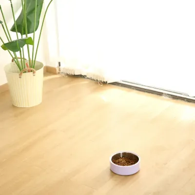 L Size Non-Slip Double-Layer Durable Feeder Bowl L Size Non-Slip Double-Layer Durable Feeder BowlL Size Non-Slip Double-Layer Durable Feeder Bowl