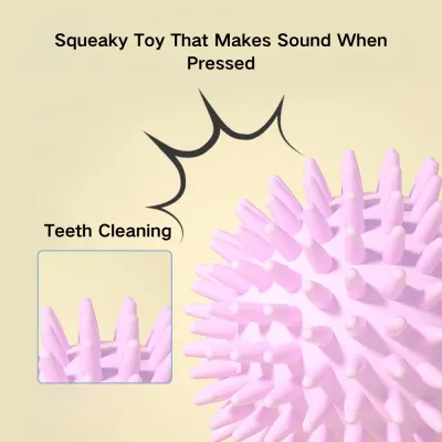 Pet Teeth Cleaning Ball Detail Pet Teeth Cleaning Ball Detail