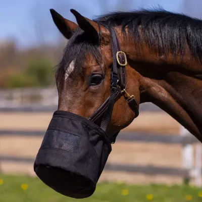 Feed Bag for Horses with Neck Pad_3