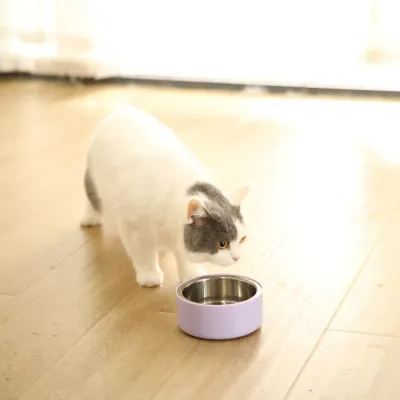Non-Slip Double-Layer Durable Feeder Bowl Non-Slip Double-Layer Durable Feeder Bowl