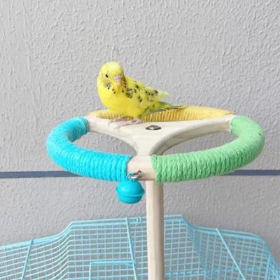 Rotating Perch Wheel Colorful Stand Toy for Birds
