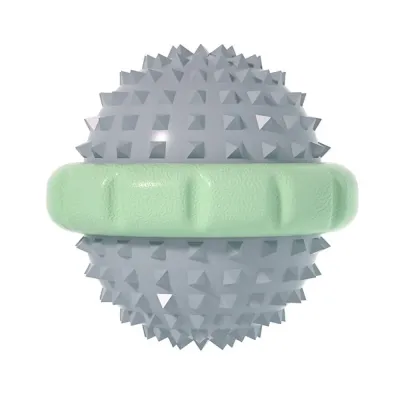 Interactive Squeaky Pet Toy for Dog Outdoor Training and Play Interactive Squeaky Pet Toy for Dog Outdoor Training and Play