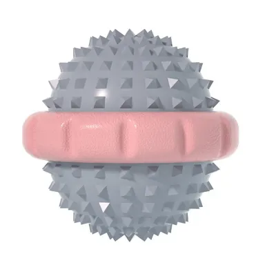 Interactive Squeaky Pet Toy for Dog Outdoor Training and Play Interactive Squeaky Pet Toy for Dog Outdoor Training and Play