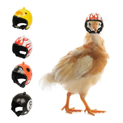 Hens Helmet Chicken Pet Safety Helmet Funny Bird Hens Hat Headwear Small Pet 