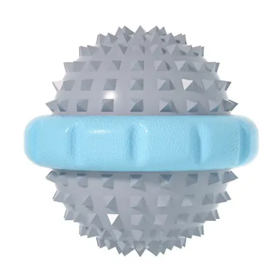 Interactive Squeaky Pet Toy for Dog Outdoor Training and Play Interactive Squeaky Pet Toy for Dog Outdoor Training and Play