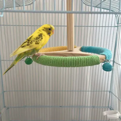 Rotating Perch Wheel Colorful Stand Toy for Birds