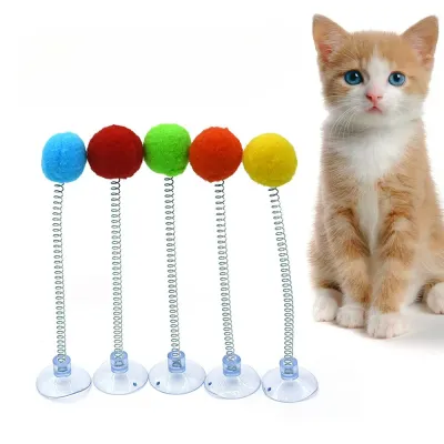 5 Pack Set Random Color Cat Teaser Spring Toy