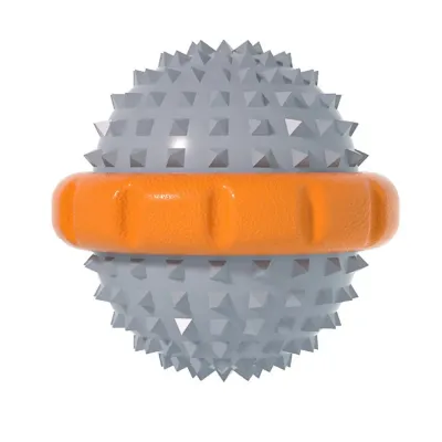 Interactive Squeaky Pet Toy for Dog Outdoor Training and Play Interactive Squeaky Pet Toy for Dog Outdoor Training and Play