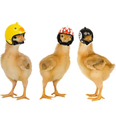 Hens Helmet Chicken Pet Safety Helmet Funny Bird Hens Hat Headwear Small Pet 