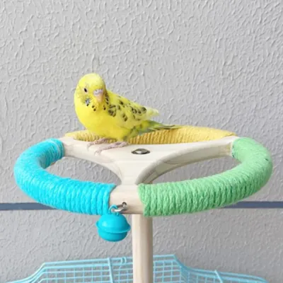 Rotating Perch Wheel Colorful Stand Toy for Birds