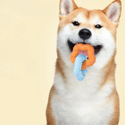 Dual-ring interlocking Flower-Shaped Durable TPR Dog Chew Toy_4 Dual-ring interlocking Flower-Shaped Durable TPR Dog Chew Toy_4