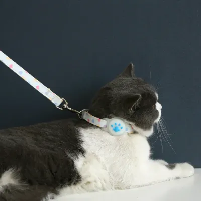 Silicone AirTag Holder Adjustable Cozy Love Heart and Paw Pet Collar_2