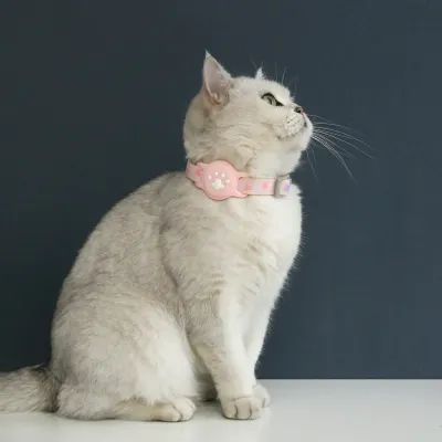 Silicone AirTag Holder Adjustable Cozy Love Heart and Paw Pet Collar_3