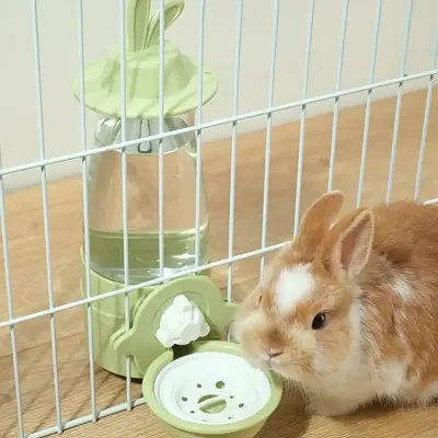 Rabbit Water Bottles Rabbit Water Bottles