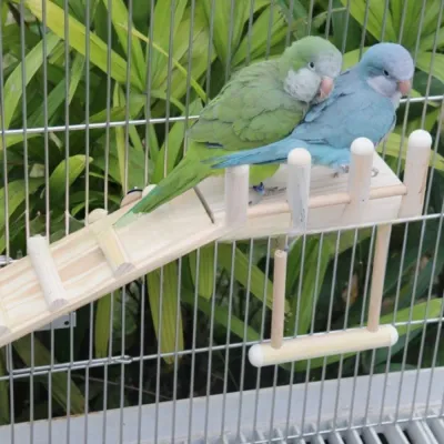 Detachable Hanging Bird Perches Platform Swing with Ladder3 Detachable Hanging Bird Perches Platform Swing with Ladder
