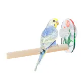 Pine Wood Easy to Clean Bird Perch with Acrylic Suction Cup