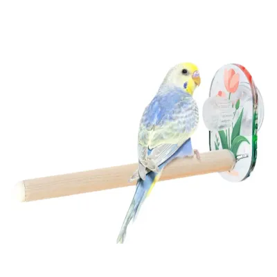 Pine Wood Easy to Clean Bird Perch with Acrylic Suction Cup