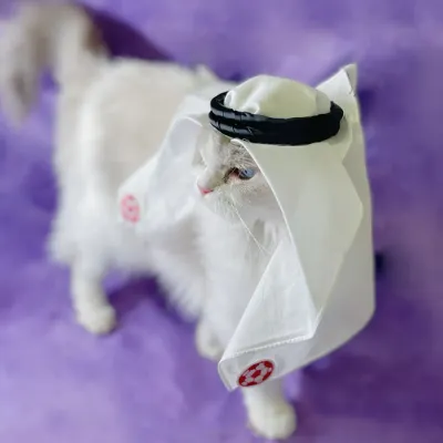 Luxury Handmade Saudi Style Pet Headscarf Hat for Cats Luxury Handmade Saudi Style Pet Headscarf Hat for Cats