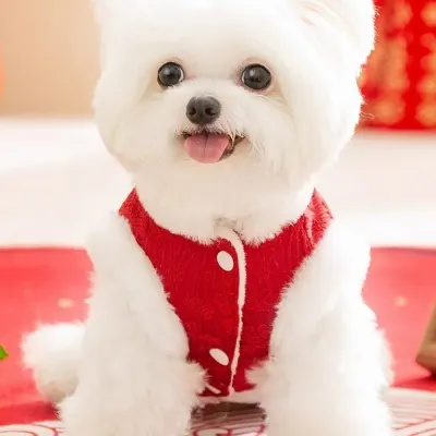 Chinese Red Knot Buttons and Cotton Padding Pet Jacket4 Chinese Red Knot Buttons and Cotton Padding Pet Jacket