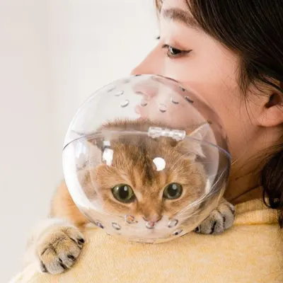 Transparent Pet Recovery Cone and Breathable Anti-Bite for Cats and Small Dogs