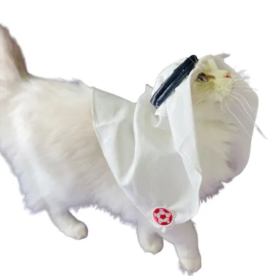 Luxury Handmade Saudi Style Pet Headscarf Hat for Cats Luxury Handmade Saudi Style Pet Headscarf Hat for Cats