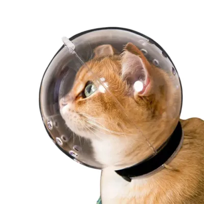 Transparent Pet Recovery Cone and Breathable Anti-Bite for Cats and Small Dogs
