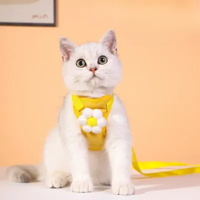 Anti-Escape Breathable Polyester Pet Harness with Leash4 Anti-Escape Breathable Polyester Pet Harness with Leash4