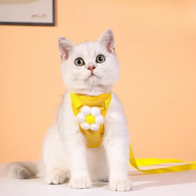 Anti-Escape Breathable Polyester Pet Harness with Leash4 Anti-Escape Breathable Polyester Pet Harness with Leash4