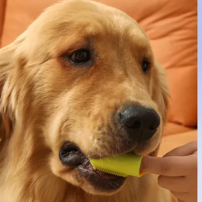 Silicone Finger Toothbrush for Dogs and Cats Care Tool Silicone Finger Toothbrush for Dogs and Cats Care Tool