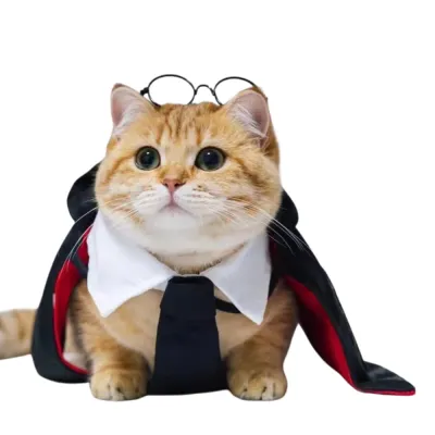 Pet Harry Potter Dress-Up Cloak and Hat for Cats and Dogs Pet Harry Potter Dress-Up Cloak and Hat for Cats and Dogs