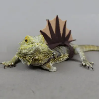TEC Bearded Dragon Dinosaur Costume Outfit Felt Apparel Harness for Lizards TEC Bearded Dragon Dinosaur Costume Outfit Felt Apparel Harness for Lizards