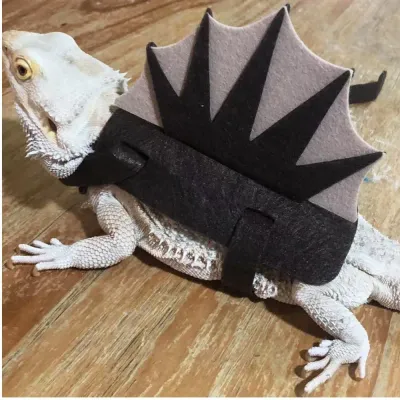 TEC Bearded Dragon Dinosaur Costume Outfit Felt Apparel Harness for Lizards TEC Bearded Dragon Dinosaur Costume Outfit Felt Apparel Harness for Lizards