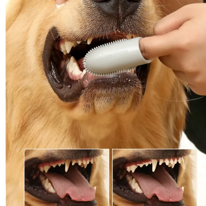 Silicone Finger Toothbrush for Dogs and Cats Care Tool Silicone Finger Toothbrush for Dogs and Cats Care Tool
