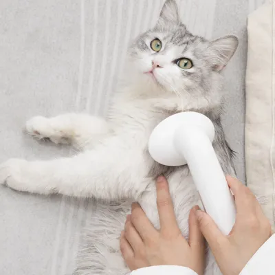 Long-Handle Silicone Grooming Scrubber for Cats & Dogs Long-Handle Silicone Grooming Scrubber for Cats & Dogs