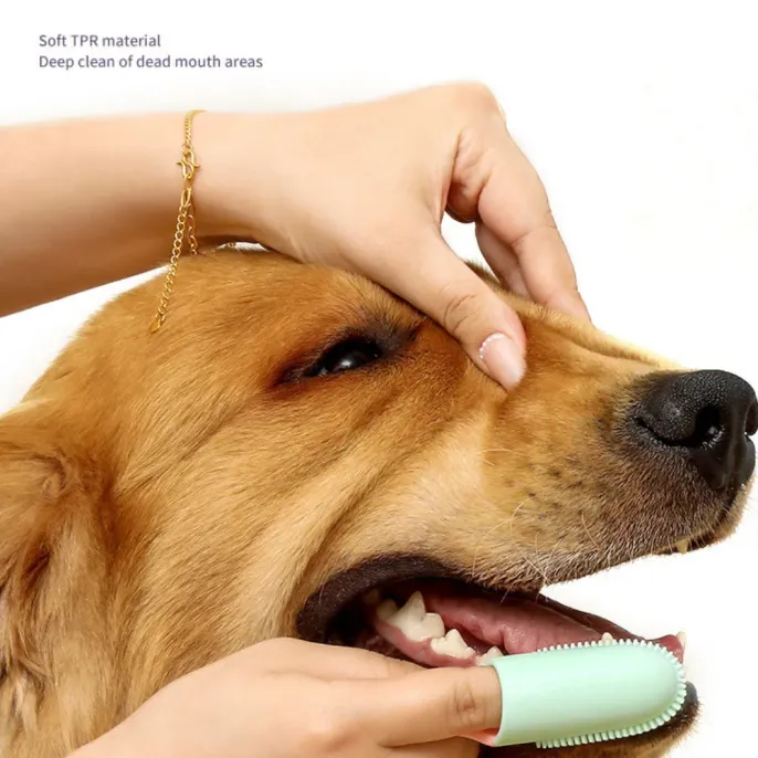 Silicone Finger Toothbrush for Dogs and Cats Care Tool Silicone Finger Toothbrush for Dogs and Cats Care Tool