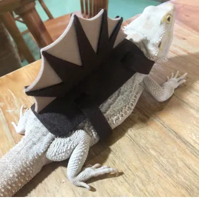 TEC Bearded Dragon Dinosaur Costume Outfit Felt Apparel Harness for Lizards TEC Bearded Dragon Dinosaur Costume Outfit Felt Apparel Harness for Lizards